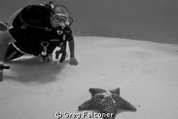 Miguel checking out a starfish.   Shot using Canon 20D wi... by Greg Falconer 